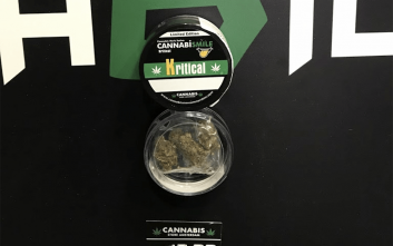 cannabillion4