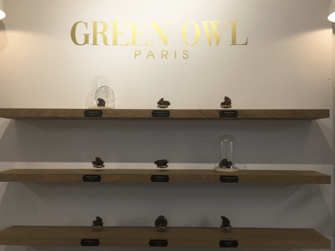greenowl1